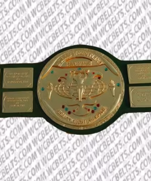 Hulk Hogan Championship Belt
