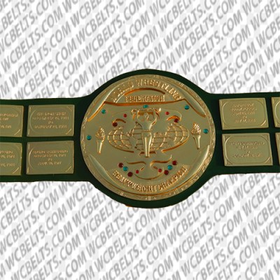 hulk hogan championship belt