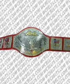 united states championship belt