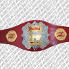 best pro wrestling championship belts