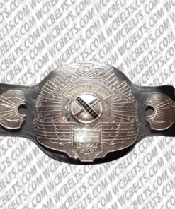 njpw wrestling championships belt