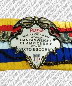 the ring boxing championship belt