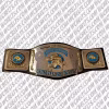 Custom Championship Wrestling Belts
