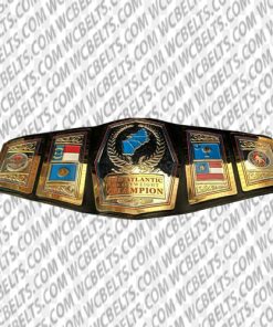 awa heavyweight championship belt