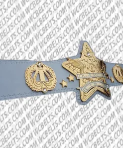 world champion wrestling belt