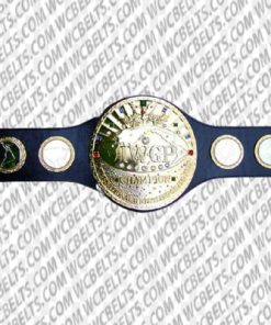 iwgp heavyweight championship belt designs