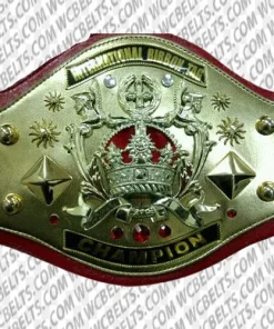 nwa international tag team championship