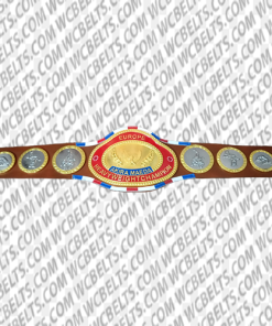 njpw world heavyweight champion