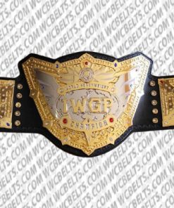 IWGP Heavyweight Championship v5