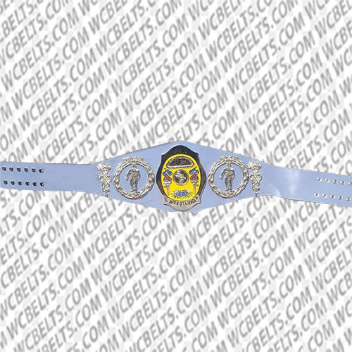 nwa championship belts for sale