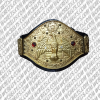 nwa canadian champion belt