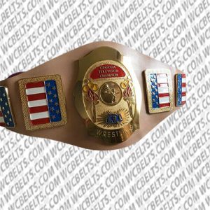 nwa world television championship belt