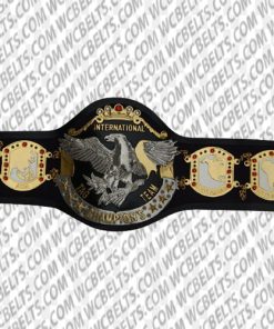 nwa tag team championship belt