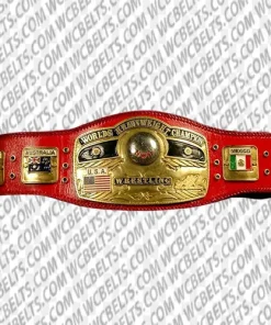 nwa mid atlantic tag team championship