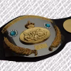 NWA Jr. World International Junior Heavyweight Wrestling Champion Belt – premium World Championship Belts with genuine leather strap