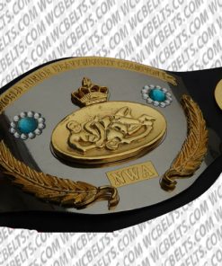 nwa world jr heavyweight championship