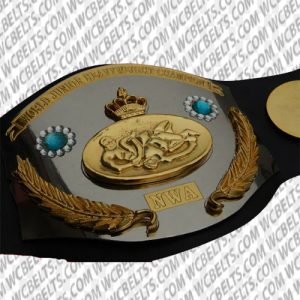 nwa world jr heavyweight championship