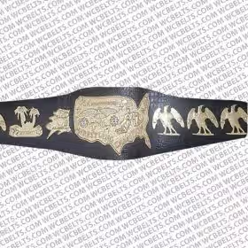 NWA Mid-Atlantic USA Heavyweight Wrestling Title Champion Belt