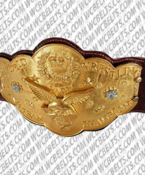 Alternative view of NWA National Wrestling Alliance World Women's Tag Team Championship Belt WWF Mae