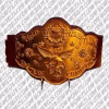 NWA National Championship Belt with gold-plated 3D brass plates and crocodile leather strap