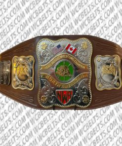 nwa north american championship belt