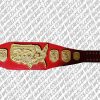nwa us heavyweight championship belt
