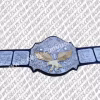 NWA World Tag Team Championship Belt with dual-plated brass plates, hand-set jewels, and genuine leather strap