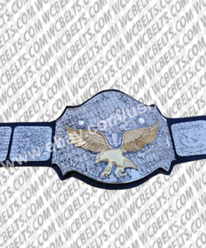 NWA World Tag Team Championship Belt