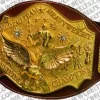 nwa world tag team championship belts