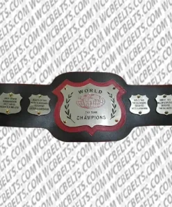 nwa tag team championship replica belt