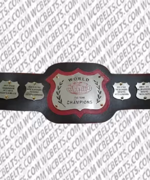 High-quality NWA Tag Team Championship replica belt with brass plates and genuine leather strap