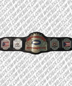 wwc world championship belt