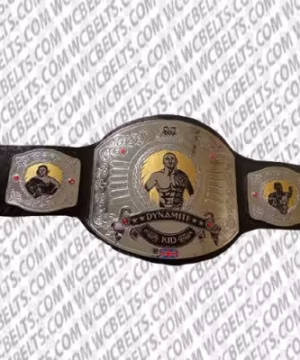 Old WWE Tag Team Championship Belts