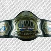 international championship belt