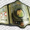 south eastern championship wrestling belt