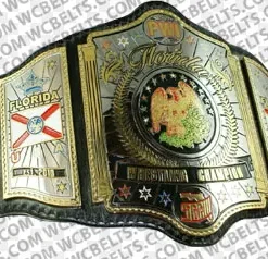 south eastern championship wrestling belt