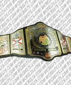 pro wrestling championship belts