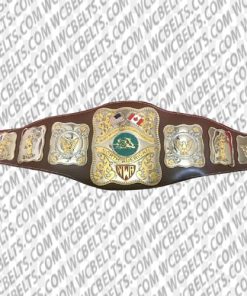 stampede wrestling belt