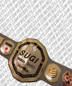 replica wrestling championship belts