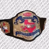 Texas Heavyweight Championship Belt with gold-plated brass plates and genuine leather strap