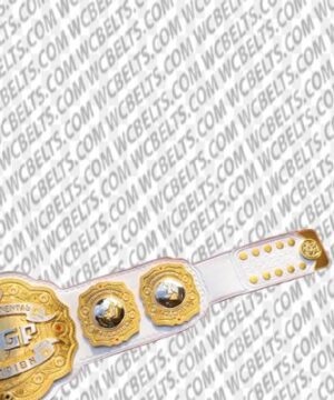 Alternative view of The IWGP Intercontinental New Japan Pro-Wrestling Heavyweight Champion belt