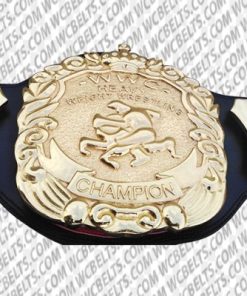 wwe universal championship belts