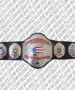 wwc puerto rico heavyweight championship