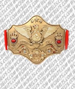 wwe intercontinental championship commemorative belt