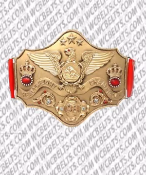 WWE Intercontinental Championship Belt