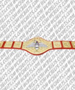 wwwf heavyweight wrestling champion belt