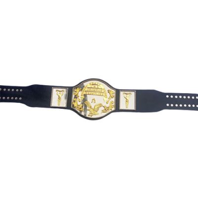 UWA World Heavyweight Championship - Wrestling Gear & Merch