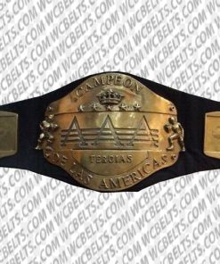 aaa tag team championship