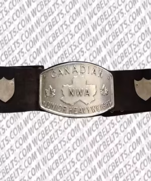 all elite wrestling championship belts