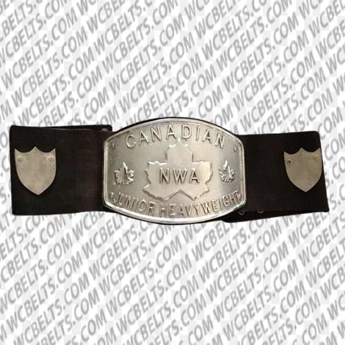 all elite wrestling championship belts